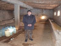 Tek Geçim Kaynağı Olan Hayvanları Çalındı