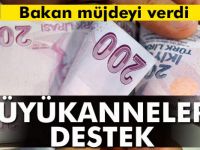 Torununa Bakan Büyükannelere Destek