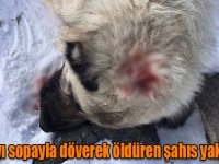 “Rıfkı”yı sopayla döverek öldüren şahıs yakalandı