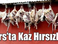 Kars’ta Kaz Hırsızlığı