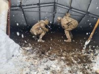 Yıkılan çadırın altına kalan hayvanlar jandarma tarafından kurtarıldı