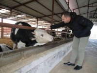 Seferihisar’da 150 üreticinin süt krizi çözüldü: Sütleri Tarım Kredi Kooperatifi satın alacak