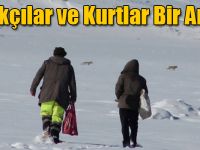 Çıldır Gölü Üzerinde Balıkçılarla ve Kurtlar Bir Arada
