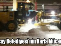 Arpaçay Belediyesi’nin Karla Mücadelesi