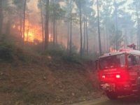İzmir İtfaiyesi 11 bin 718 yangınla mücadele etti