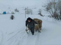 Bingöl’de besicilerin çetin kış şartlarına rağmen zorlu mesaisi sürüyor