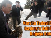 Kars'ta Tedavi Edilen Baykuş'u Vali Özefe Doğaya Saldı!