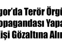 Digor’da Terör Örgütü Propagandası Yapan 1 Kişi Gözaltına Alındı