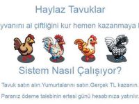 Haylaz Tavuk Vurgunu! Binlerce Kişi Bu Tuzağa Düştü...