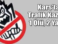 Kars'ta Trafik Kazası: 1 Ölü, 2 Yaralı