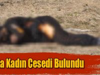 Kars’ta Yanmış Kadın Cesedi Bulundu