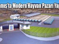 Sarıkamış'ta Modern Hayvan Pazarı Yapılıyor