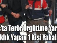 Kars'ta Terör Örgütüne Yardım Yataklık Yapan 1 Kişi Yakalandı
