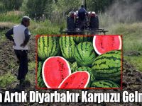 Kars'a Artık Diyarbakır Karpuzu Gelmiyor!
