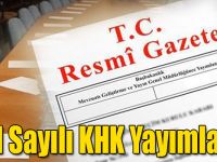 691 Sayılı KHK Yayımlandı