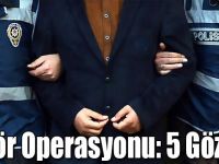 Kars'ta Terör Operasyonu: 5 Gözaltı