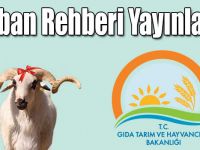 Kurban Rehberi Yayınlandı
