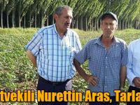 Milletvekili Nurettin Aras, Tarlada...!