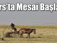 Kars'ta Çiftçilerin Ot Biçme ve Patoz Mesaisi Başladı
