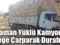 Saman Yüklü Kamyon Direğe Çarparak Durabildi