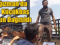 Kağızman'da 296 Küçükbaş Koyun Dağıtıldı