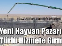 Yeni Hayvan Pazarı Bir Türlü Hizmete Girmedi