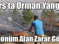 Kars'ta Orman Yangını: 10 Dönüm Alan Zarar Gördü