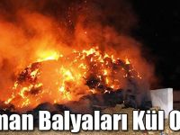 Digor’da 500 Adet Saman Balyası Yandı