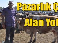 Bayram Öncesi Kars Hayvan Pazarında Durgunluk Yaşanıyor