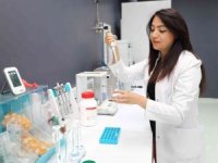 Önce Japonlar sonra da Türk bilim adamları araştırdı
