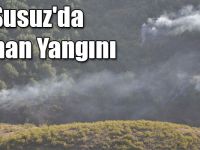 Susuz'da Orman Yangını