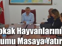Sokak Hayvanlarının Durumu Masaya Yatırıldı