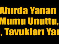 Ahırda Yanan Mumu Unuttu, Atı, Tavukları Yandı