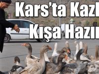 Kars’ta Kazlar Kışa Hazır