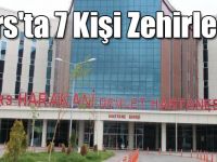 Kars'ta 7 Kişi Zehirlendi