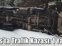 Kars'ta Trafik Kazası: 1 Yaralı