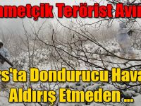 Mehmetçik Kars'ta Dondurucu Havaya Rağmen Teröristlerin Peşinde