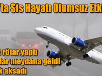 Kars'ta Sis Hayatı Olumsuz Etkiledi