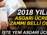 2018 asgari ücret kaç TL? Asgari ücret zammı belli oldu | AGİ ne kadar olacak?