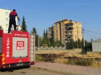 Ot yangını ikametlere sıçramadan söndürüldü