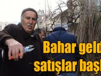 Kağızman’a bahar geldi, fidan satışları başladı