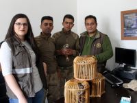 Canlı mühre ile avlanan şahsa 4 bin 717 TL para cezası verildi