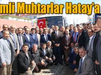 Selimli Muhtarlar Mehmetçiğimize destek için Hatay’a gitti