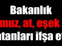 Bakanlık domuz, at, eşek eti satanları ifşa etti