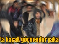 Kars’a kaçak giren göçmenlerin önü alınmıyor