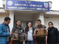 Jandarma komutanlığı doğal hayatı koruyor