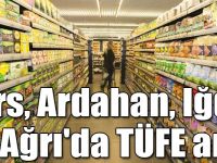 Kars, Ardahan, Iğdır ve Ağrı'da TÜFE yüzde 0,47 arttı