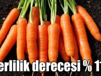 Sebzelerde en yüksek yeterlilik derecesi havuçta oldu
