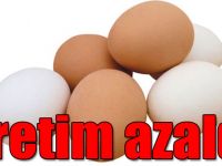 Tavuk yumurtası üretimi Şubat'ta azaldı