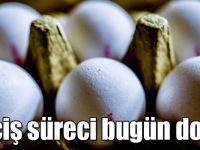 Yumurtaların üzerine artık yetiştirme metodu yazılacak